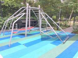 Stevens Suites (D10), Apartment #129906732